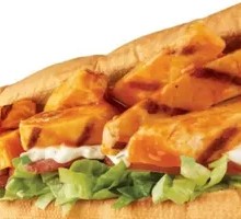 Scallion Teriyaki Chicken