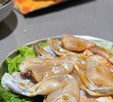 Fresh Live-Caught Frog