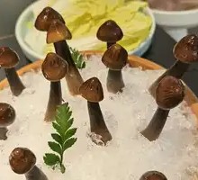 Black Skin Chicken Mushroom