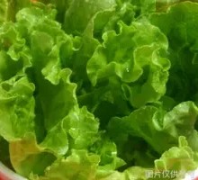 Lettuce
