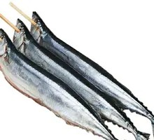 Sardine