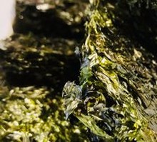 Roasted Headwater Purple Laver