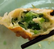 Pan-fried Dumplings