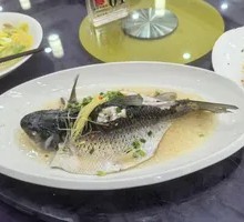 Saltwater Steamed Mountain Carp