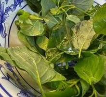 Guizhou Wild Vegetables