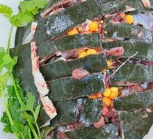 Old Water Turtle