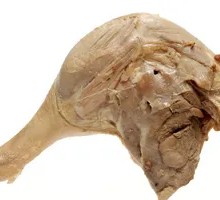 Steamed Duck Leg (Cold Dish)