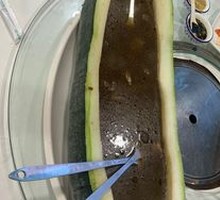 Ganoderma Duck in Winter Melon Boat