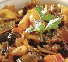 Spicy Softshell Turtle