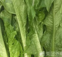 Oilseed lettuce