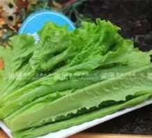 Oilseed lettuce