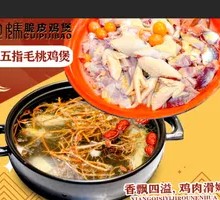 Fresh Five-Fingered Mulberry Chicken Pot