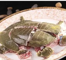Hanshou Softshell Turtle