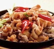 Iron Plate Intestines