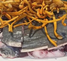 Health-Preserving Softshell Turtle