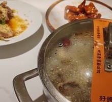 Signature Medicinal Pigeon