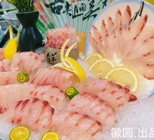 Japanese Pool Fish King