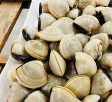 Sea Clam