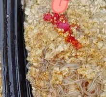 Garlic Mashed Eggplant with Vermicelli