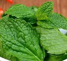 Mint Leaves