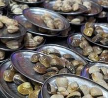 Clam