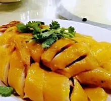 Steamed Chicken in White Sauce
