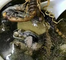 Chinese Polyporus and Scorpion Stew