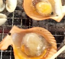 Grilled Scallops