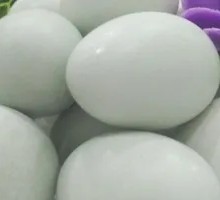 Fried Egg