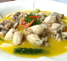 Golden Soup Jumping Frog