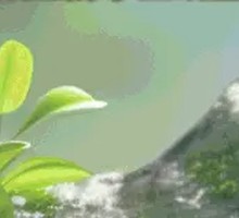Sizzling Oil-Poured Noodles