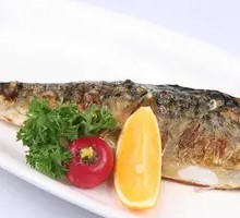 Mackerel