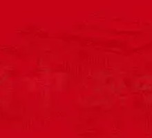 Honglin Jumping Water Bass