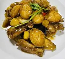 Braised Chicken with Fresh Abalone