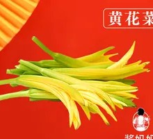 Daylily Flowers