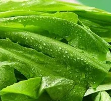 Seasonal Greens