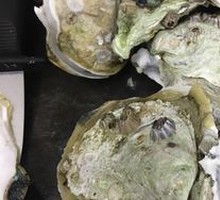 桑拿生蚝