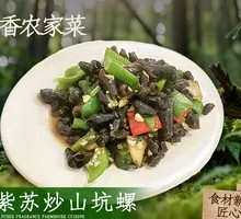 Bamboo Shoot and Purple Perilla Stir-fry with Snails