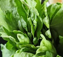 Chinese chrysanthemum greens