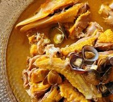 Salted Water Sea Duck