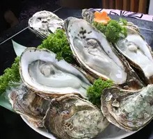 Original Fresh Oyster