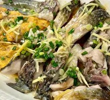 Steamed White Crucian Carp