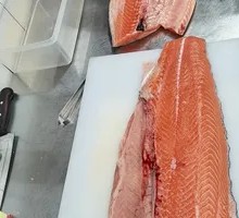 Salmon