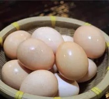 Free-range egg