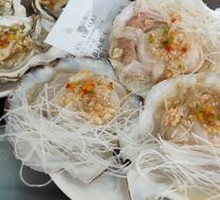 Antarctic Scallop