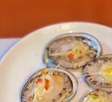 Eight-Head Abalone