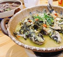 Wild Yellow Perch in Large Bowl