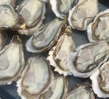 Signature Zhanjiang Oyster