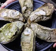 Zhanjiang Original Flavor Oyster