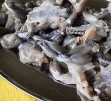 Toad Dish